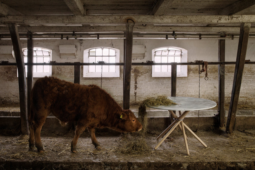 Concrete Light / Oak Light